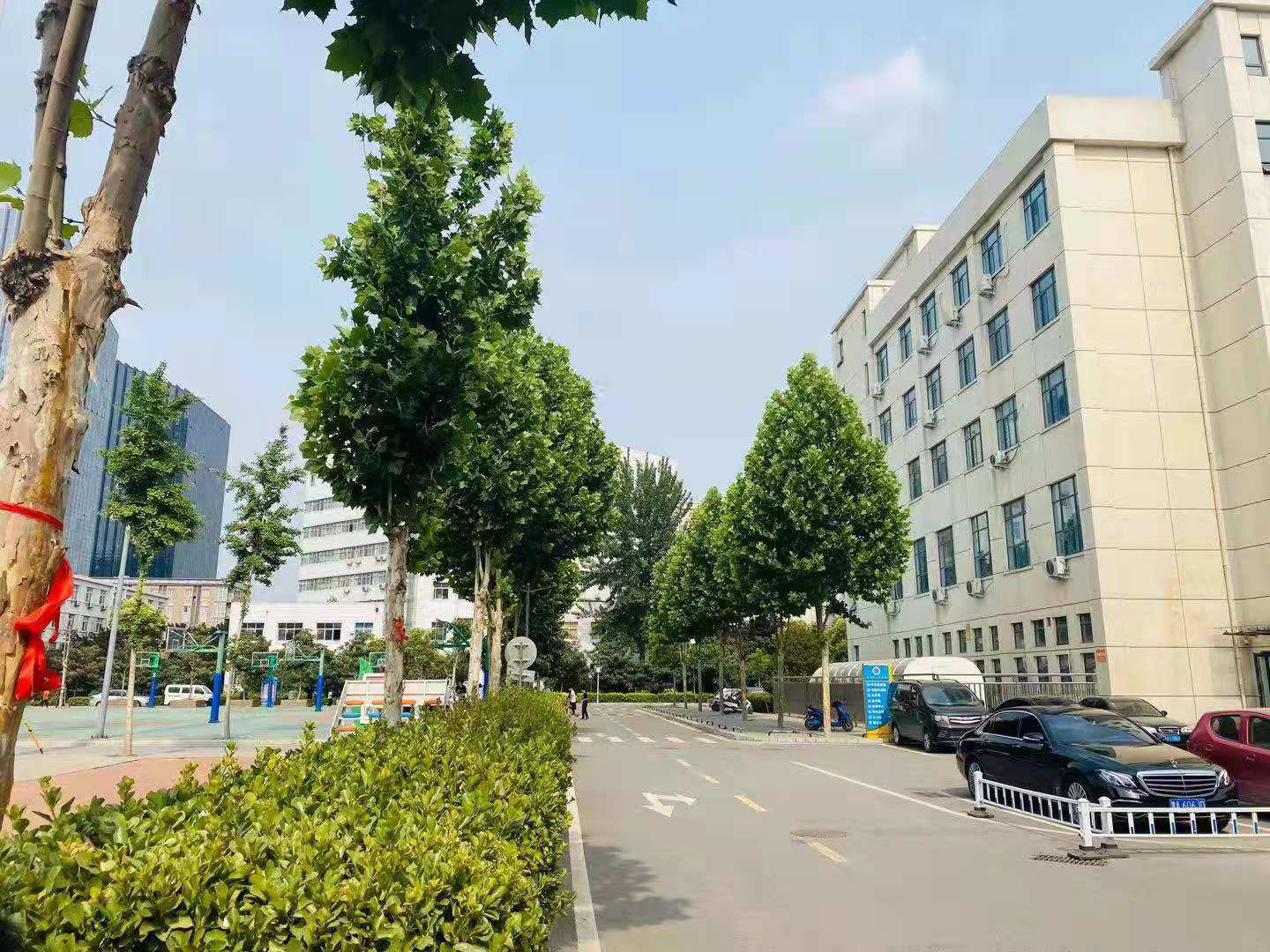 河南省郑州市正规的工业学校录取分数线
